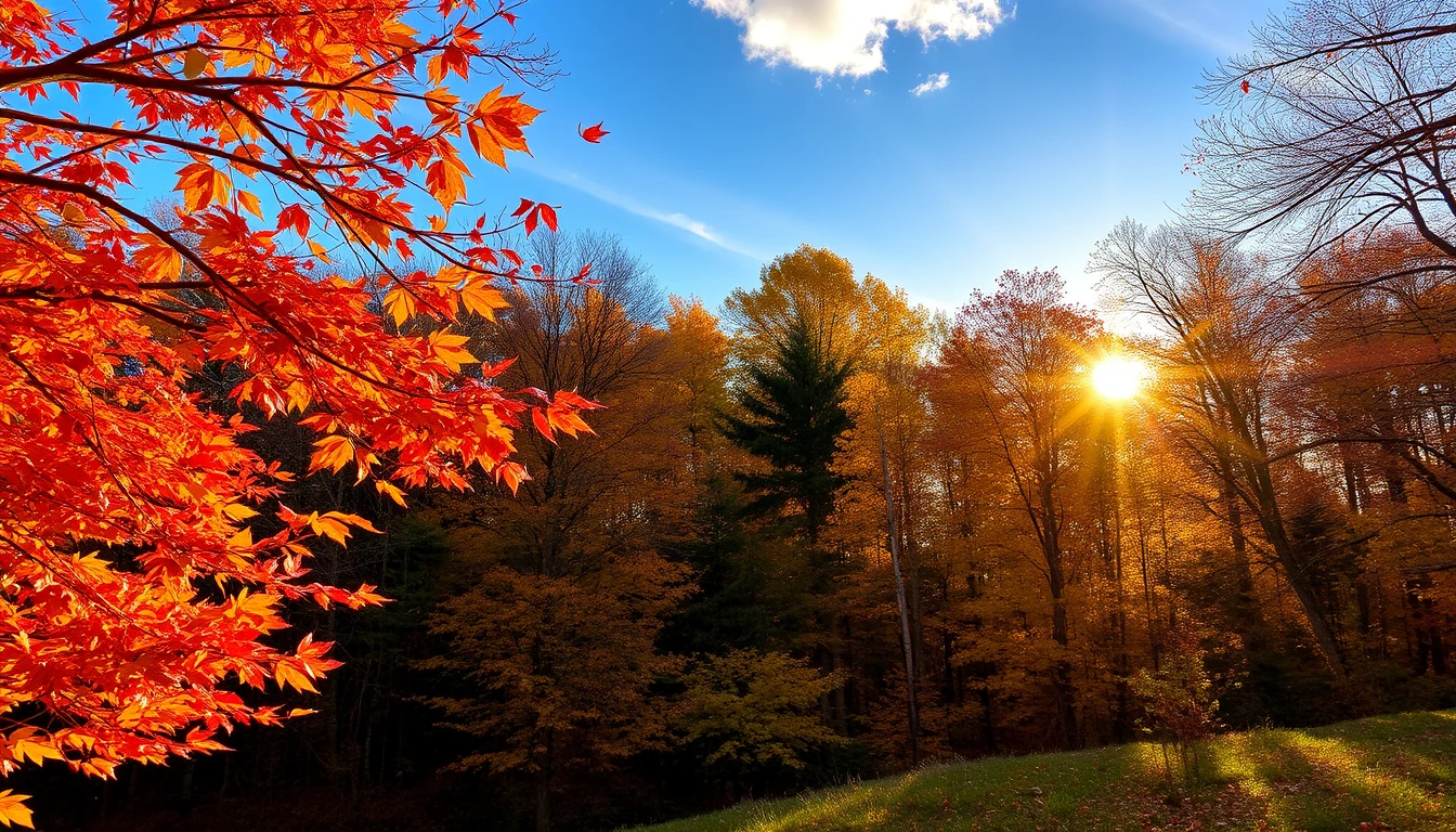 Seasonal Wallpaper