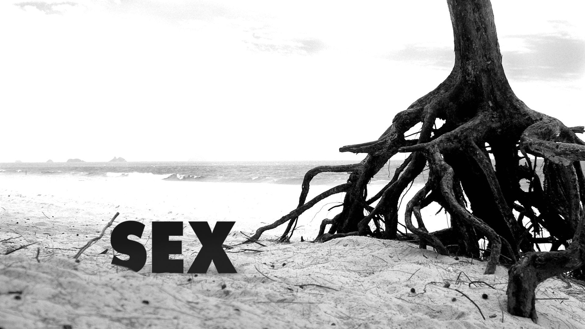 Sex On The Beach Wallpaper HD