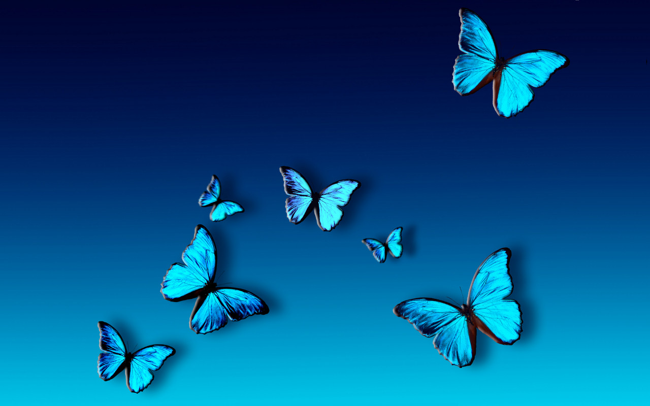 Mariposas Azules Fondo De Pantalla