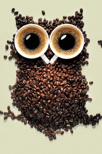 Coffee Owl iPhone HD Wallpaper