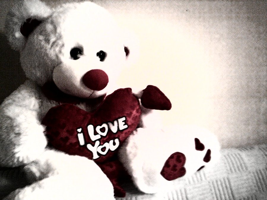 Love You Teddy Bear By Ivathejaje