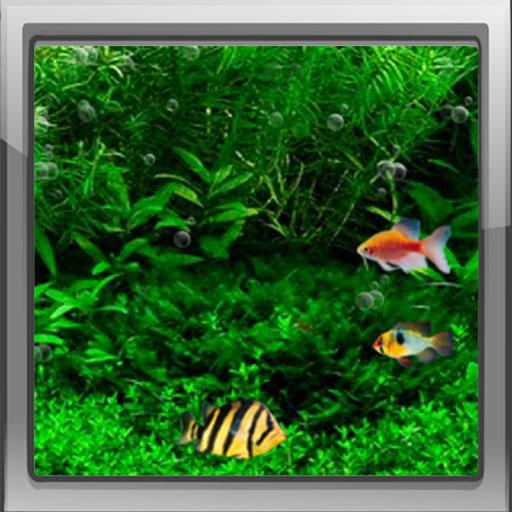 Fish Tank 3d Live Wallpaper Background Aquarium