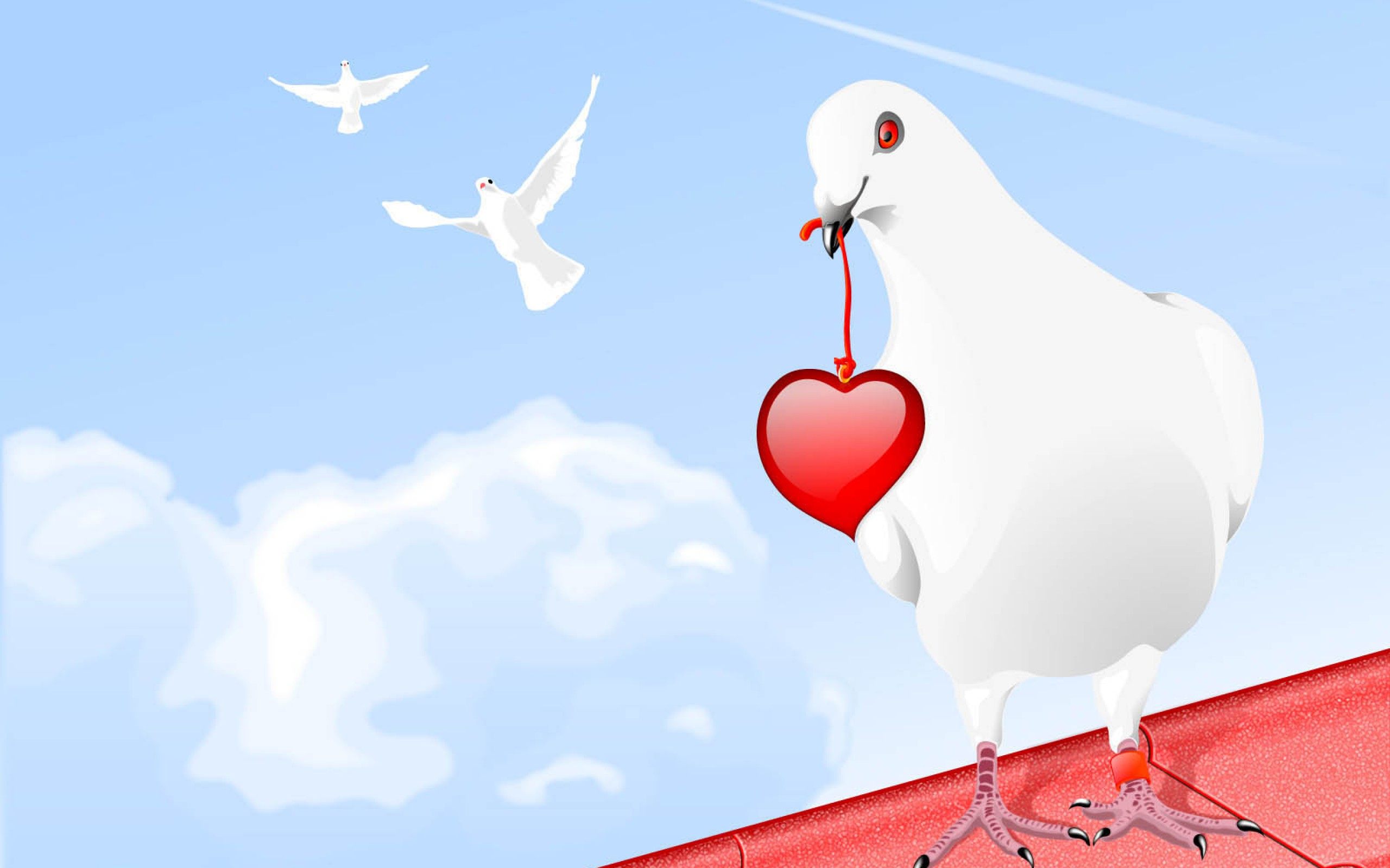 White Pigeon With Red Heart Love Wallpaper HD For Desktop