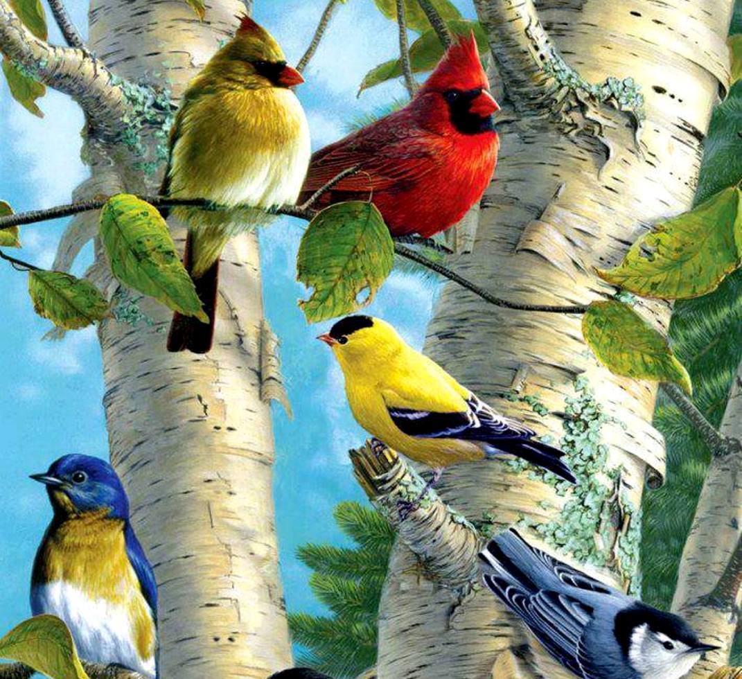 Exotic Birds Wallpaper Sa
