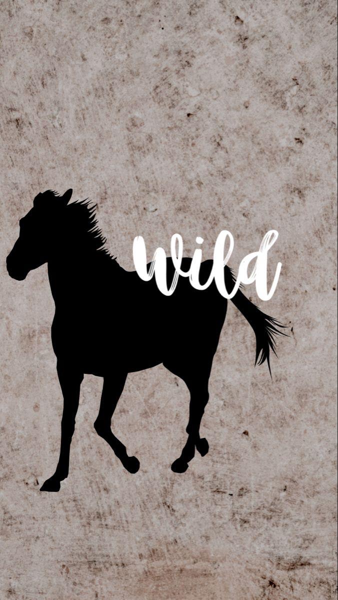 Wild Horse Wallpaper Background