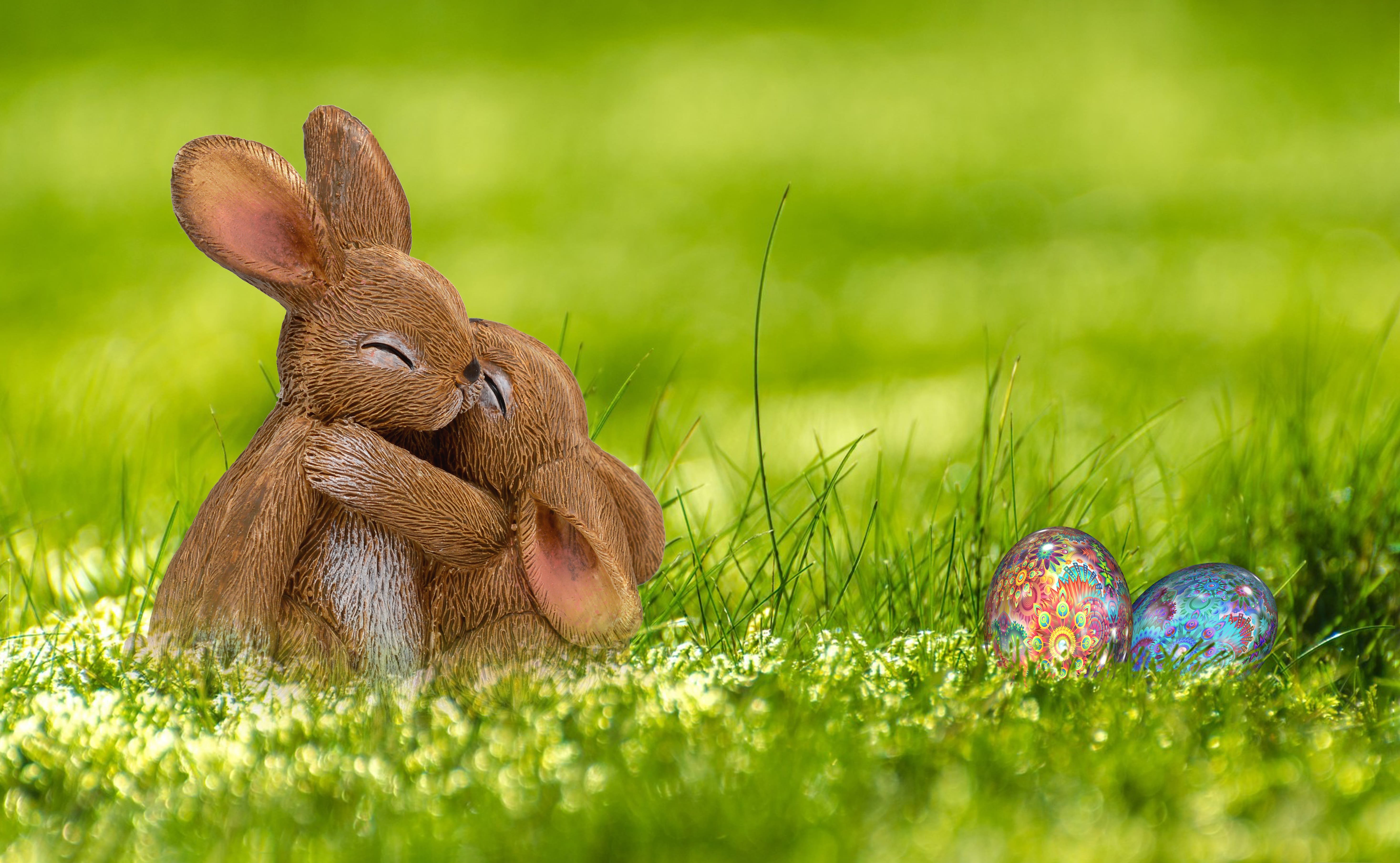 Easter Bunny Hare Spring Wallpaper And Stock