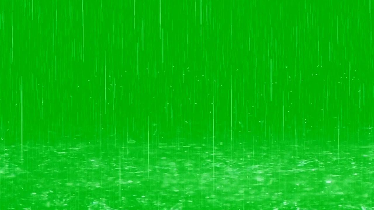 Raindrops Fall in Puddles   Green Screen Effect Green screen