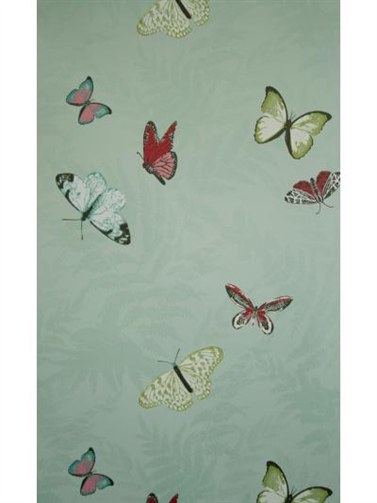 Butterfly Wallpaper Nature Gallery Craze of Wallpapers Among