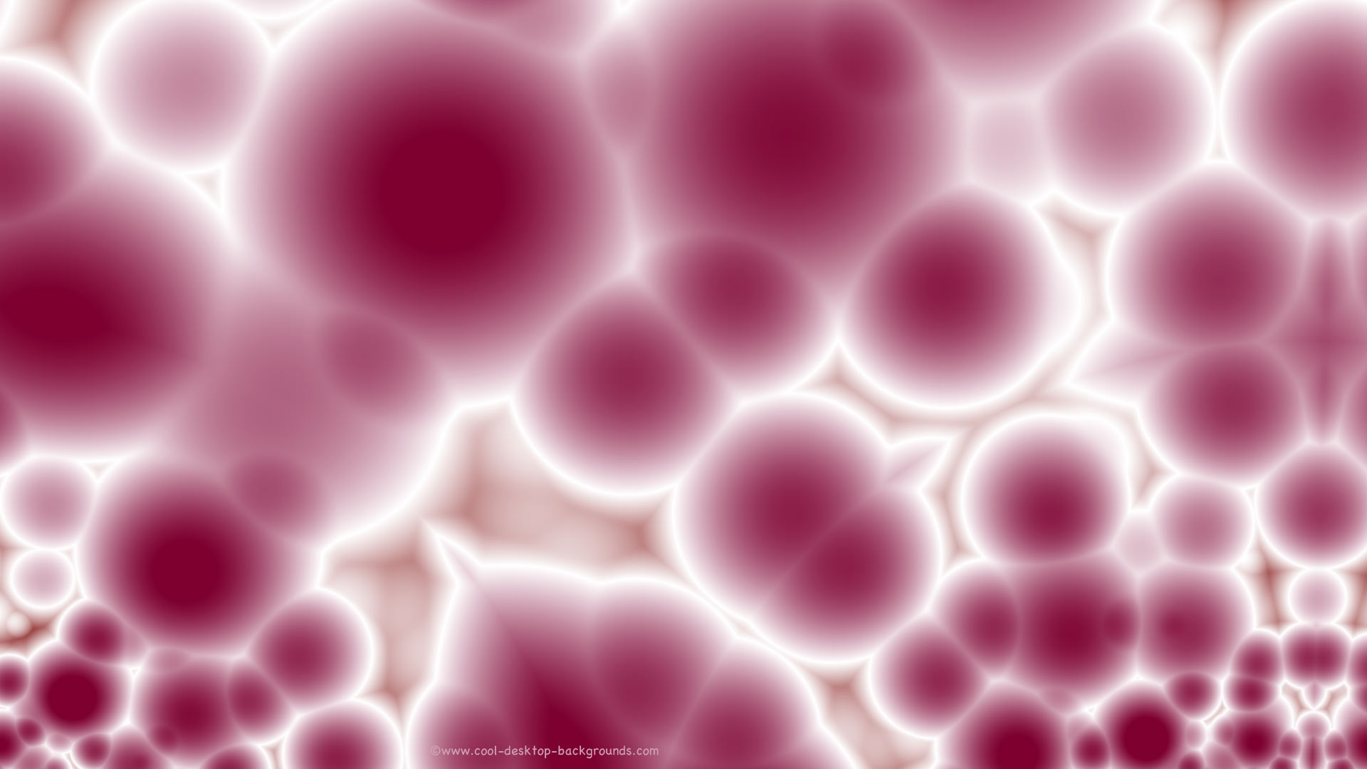 Blood Cells Background Background Wallpaper Pixels