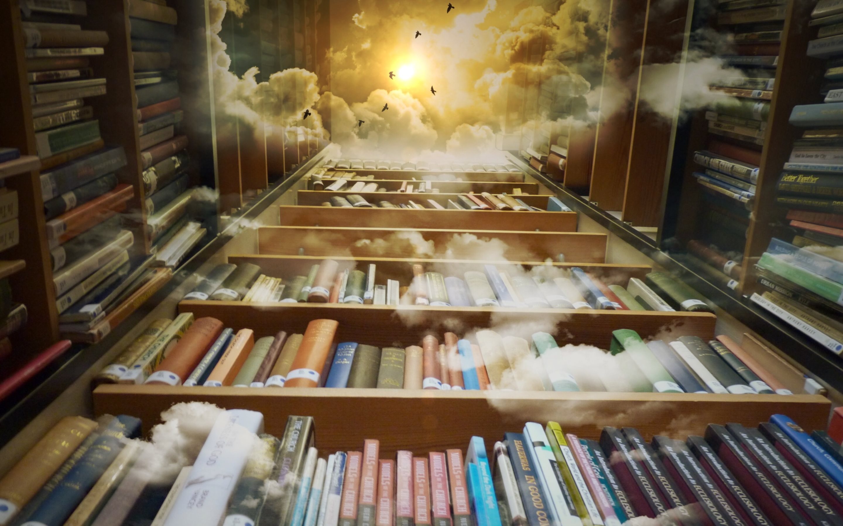 Fantasy Library HD Wallpaper Background Image Id