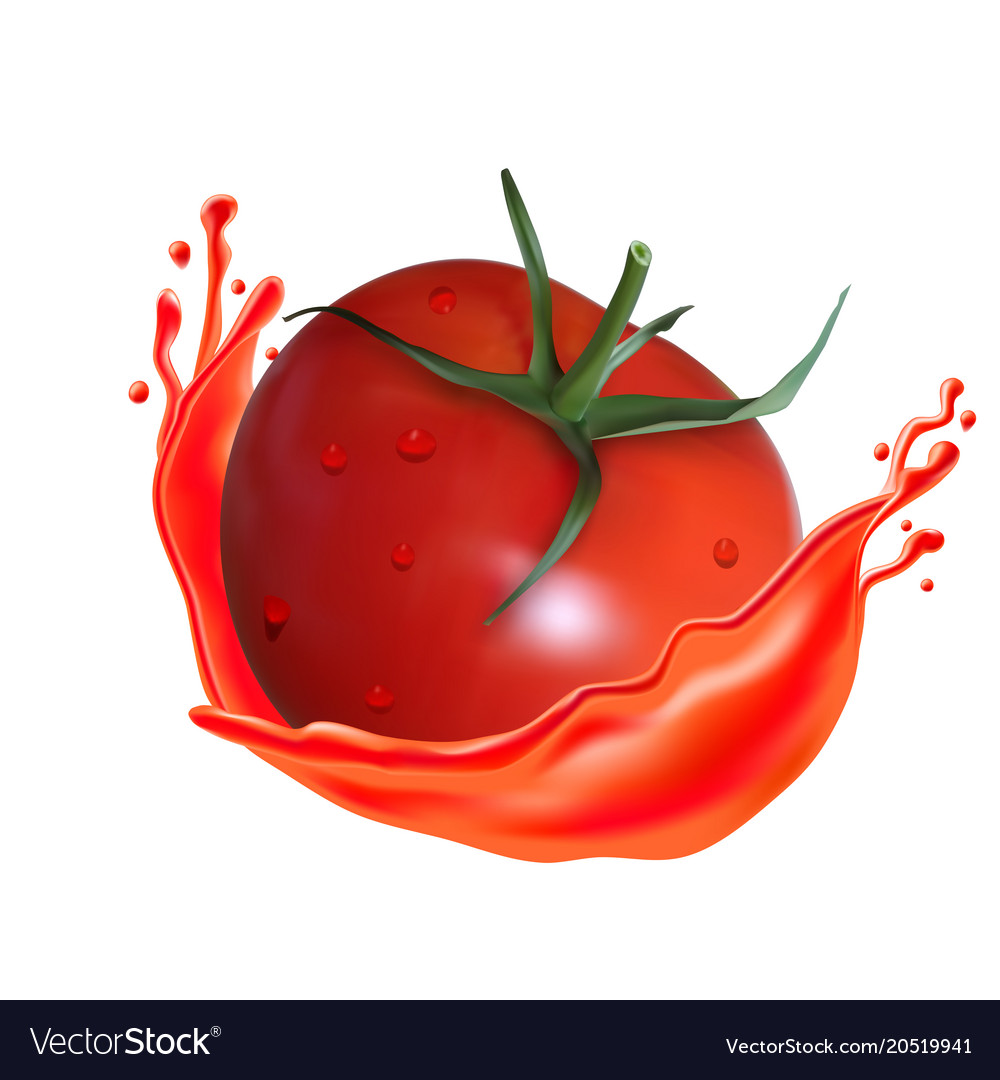 Tomato With Juice Splash Isolated On A Background Vector Image