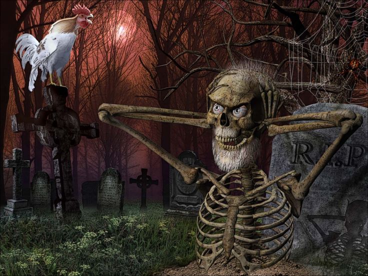 Skulls Dark Humor Funny Halloween Cemetery Grave Skeleton Wallpaper