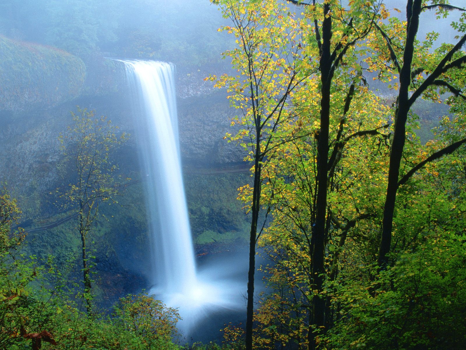 Falls State Park Oregon Nature Wallpaper Image Featuring Waterfalls