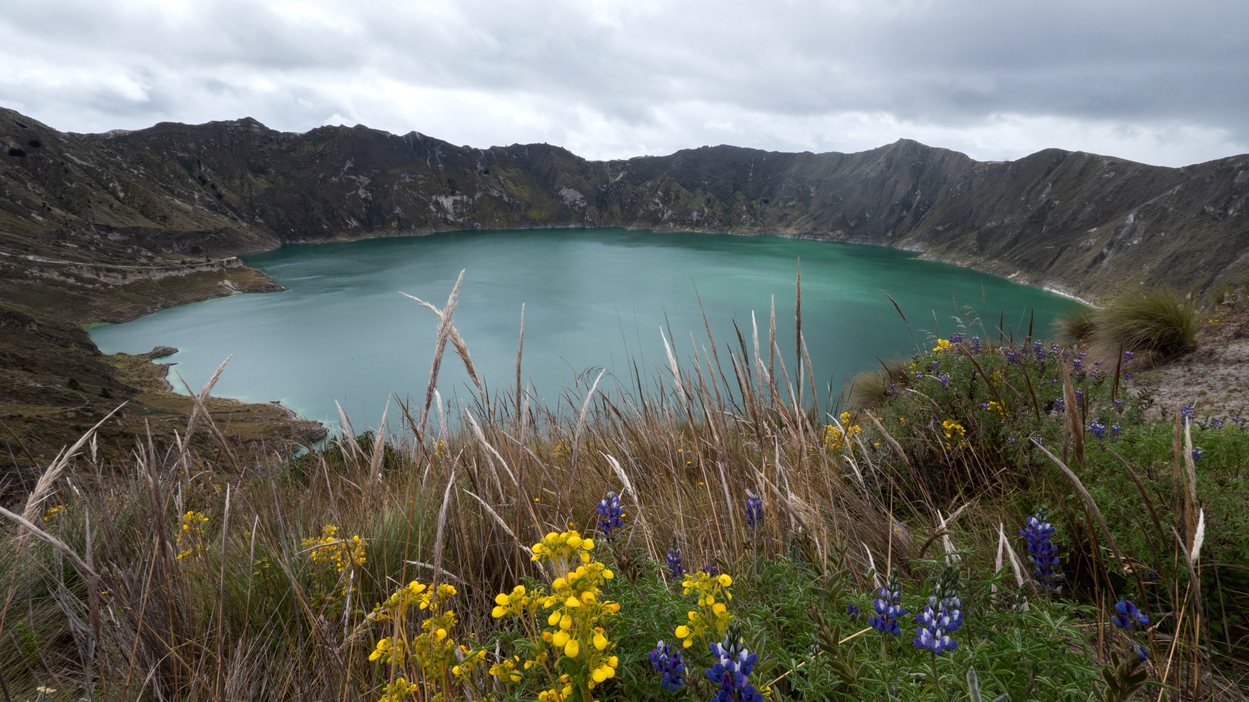 Photo Ecuador Volcano Quilotoa Nature Lake Grass