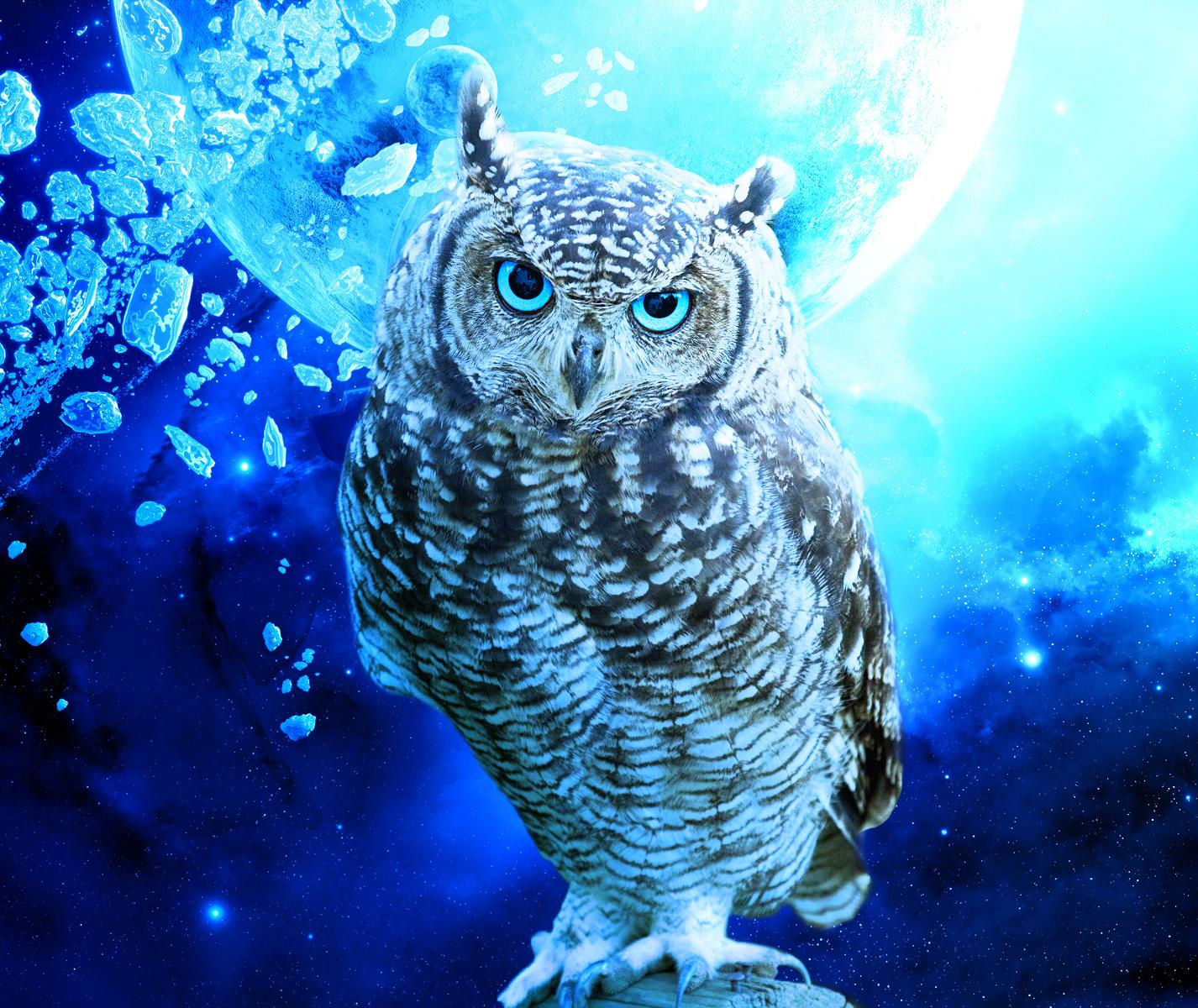 Cool Owl Wallpaper Top Background