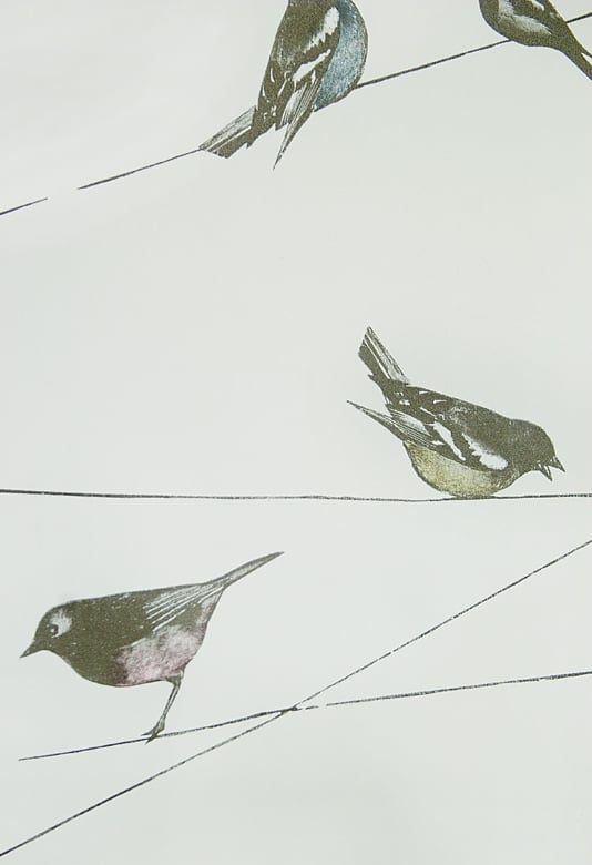 Go Back Gallery For Bird Design Wallpaper 534x780
