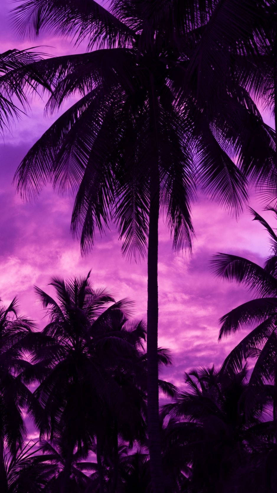 Purple Tree Wallpaper
