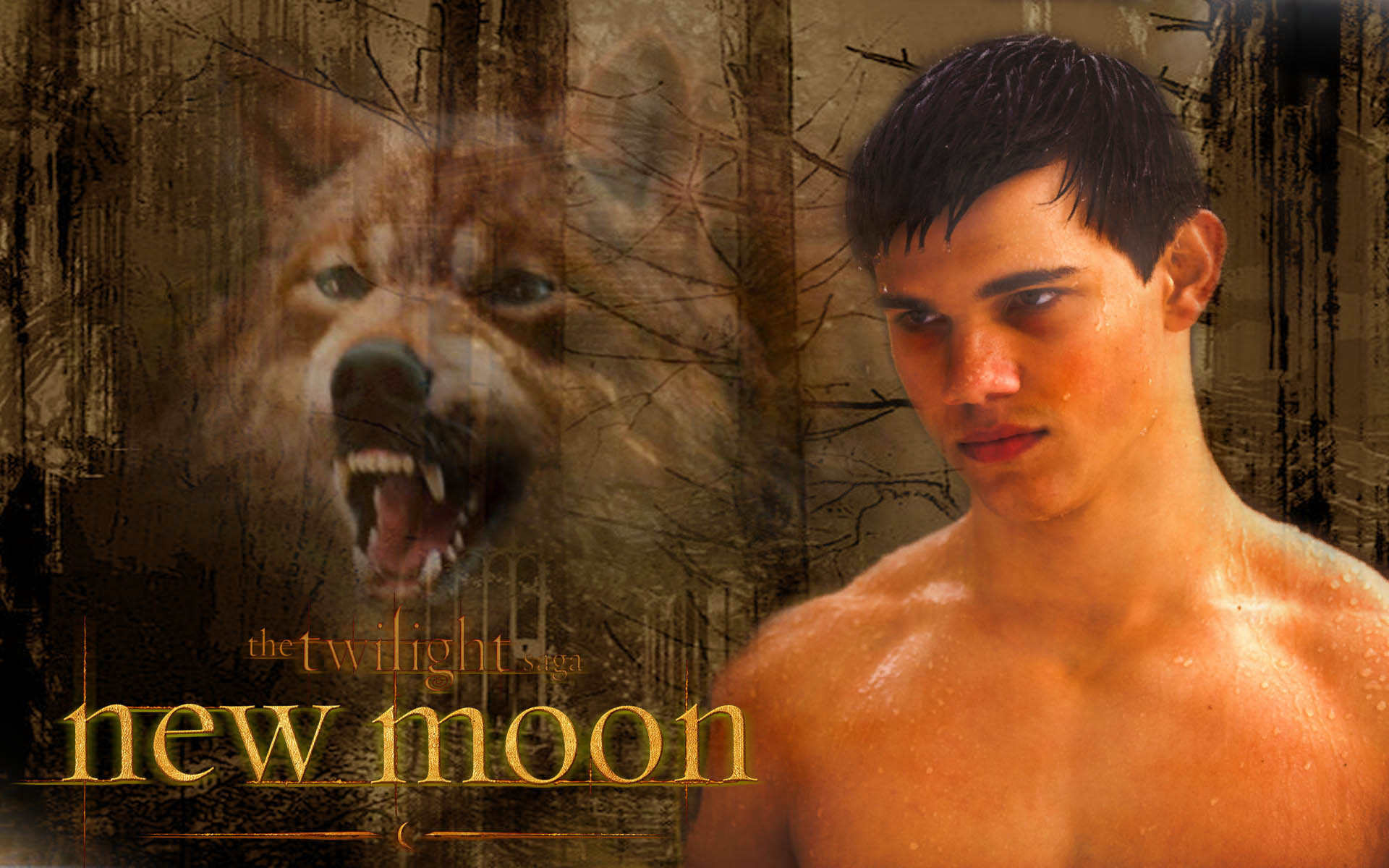 Jacob Blac New Moon Black Wallpaper