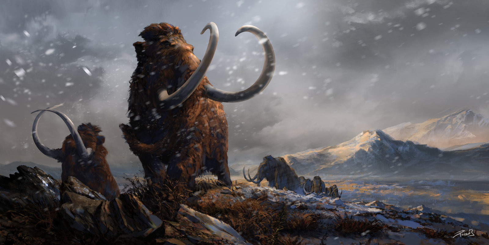 Prehistoric Mammals Woolly Mammoths By Balcsika