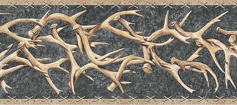 Details About Western Deer Antlers Wallpaper Border Ta39015b