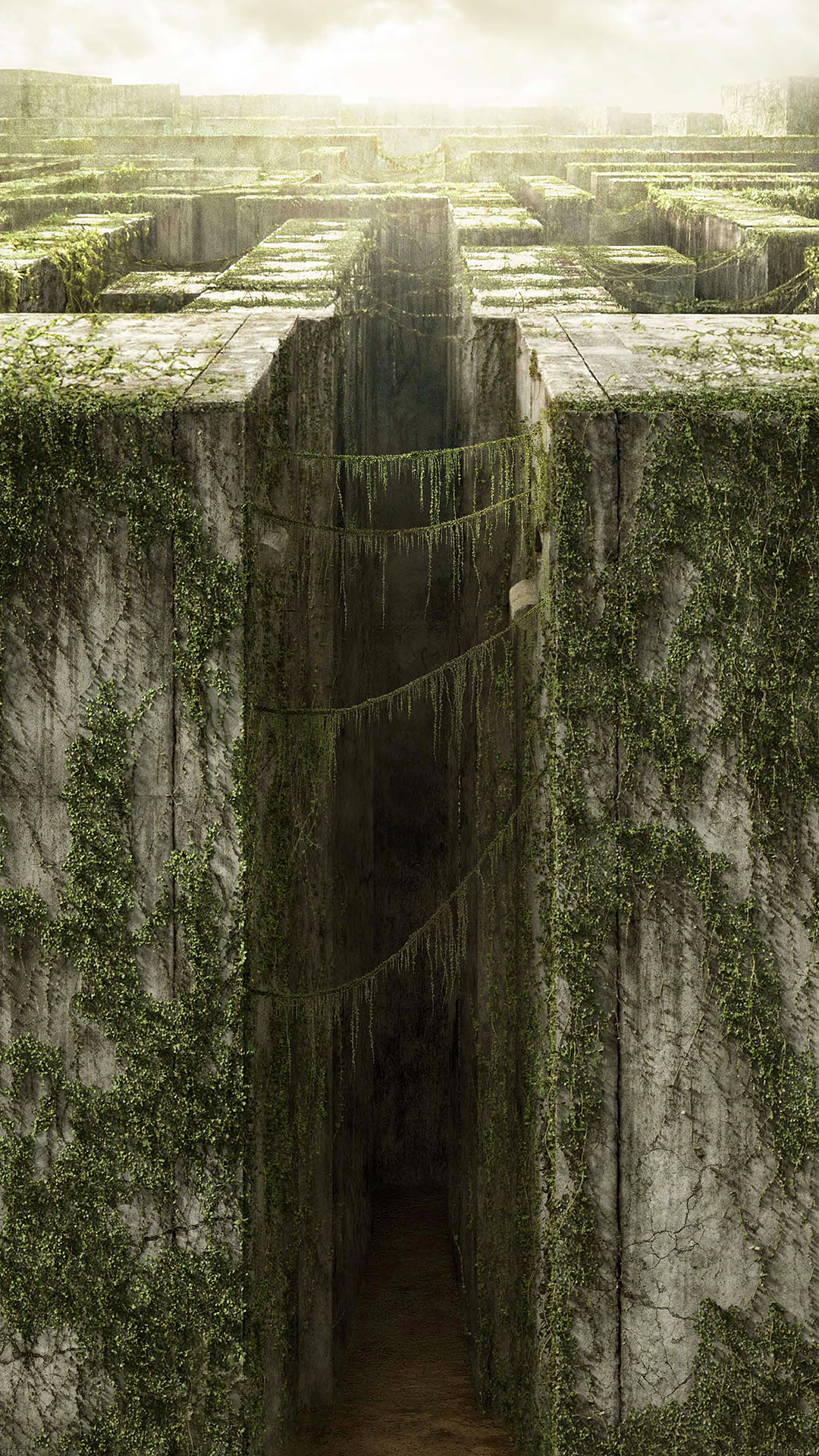 Maze Wallpaper