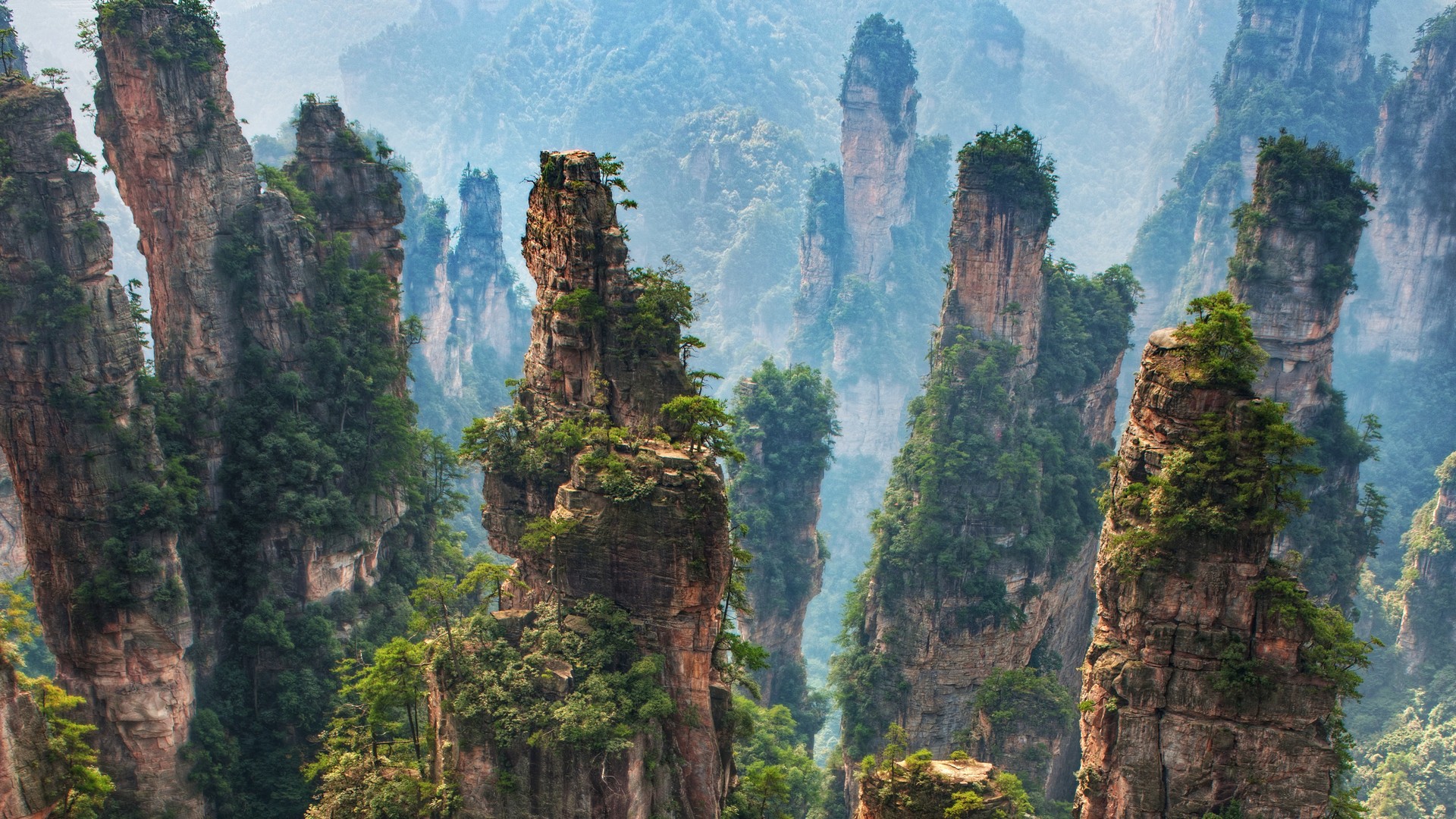 Zhangjiajie National Forest Park China Pictures