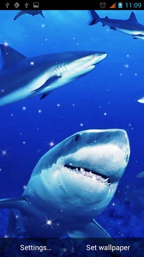 live desktop wallpaper sharks