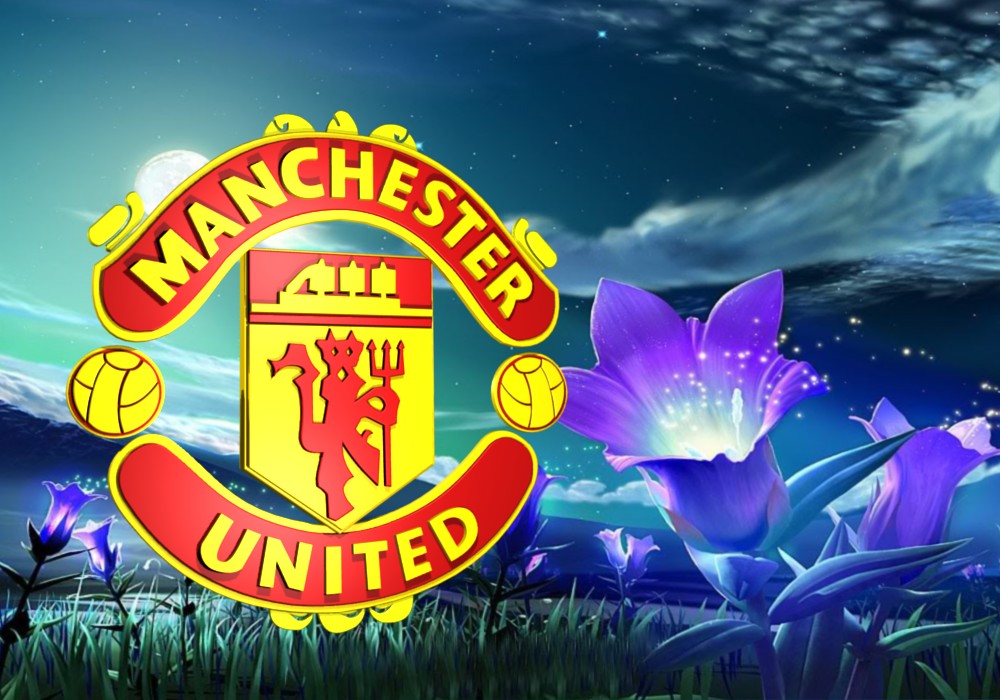 Wallpaper Of Manchester United Football Club Fanzone S 3d