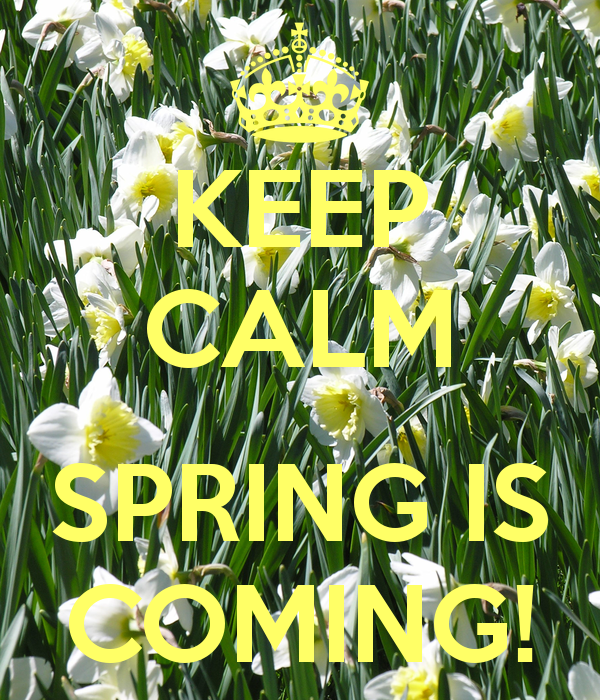 Keep Calm Spring Is Ing And Carry On Image Generator