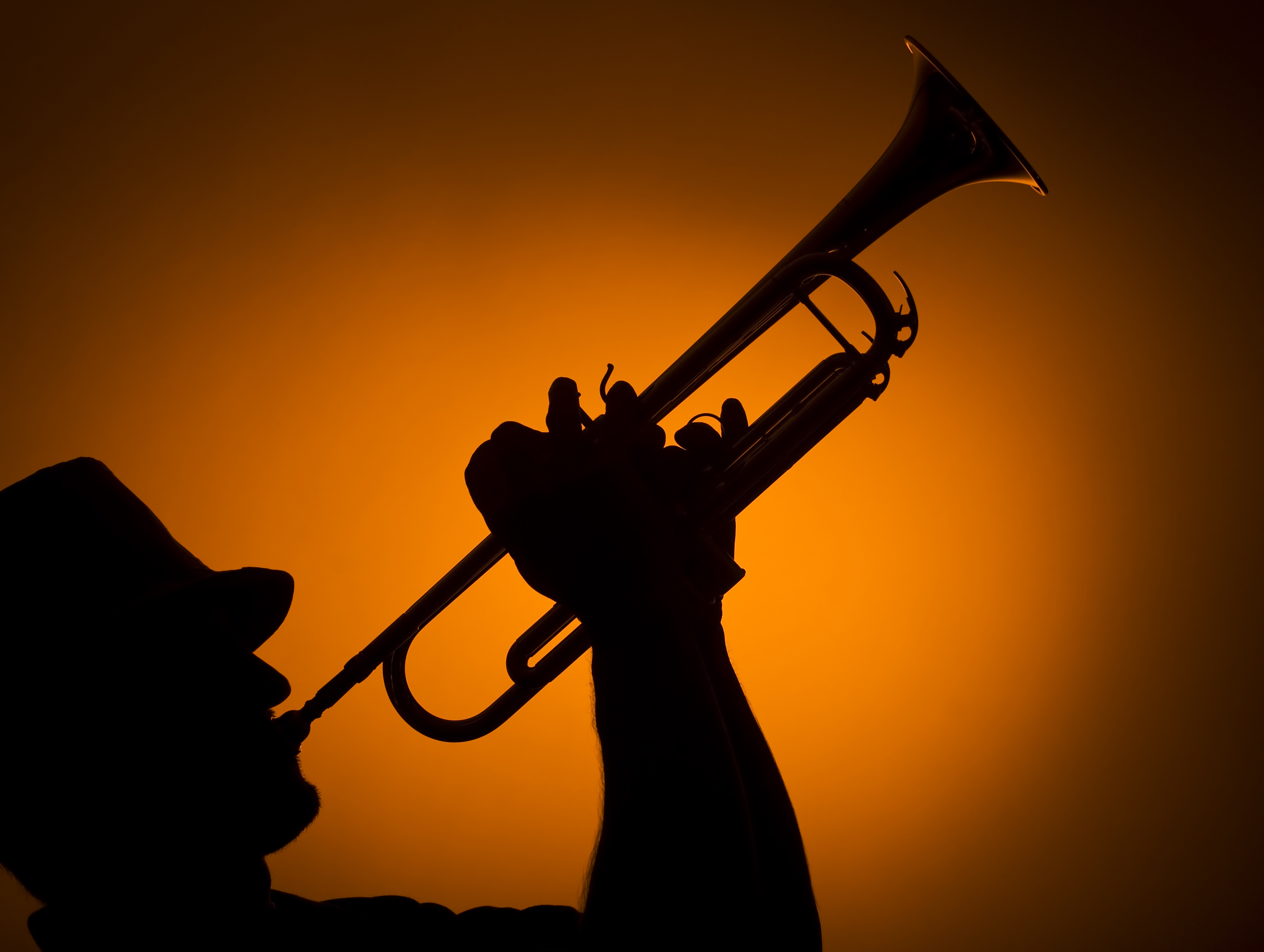 Trumpet Exploited Wallpaper  Download to your mobile from PHONEKY