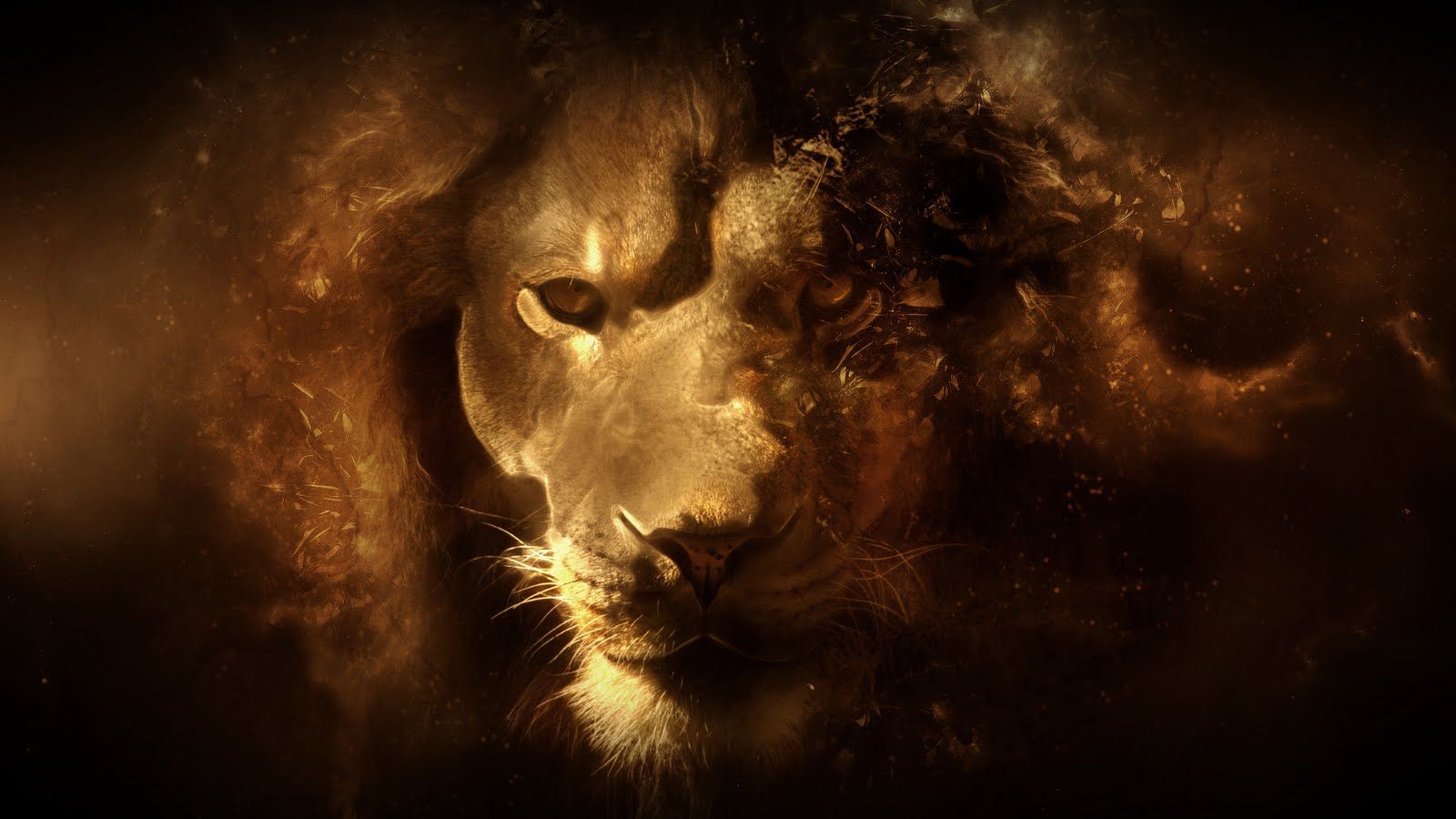 Epic Desktop Wallpaper And Background Abstract Lion HD