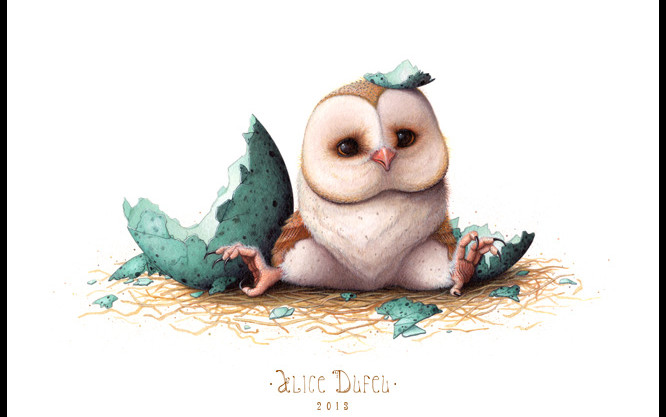 cute cartoon owl wallpaper