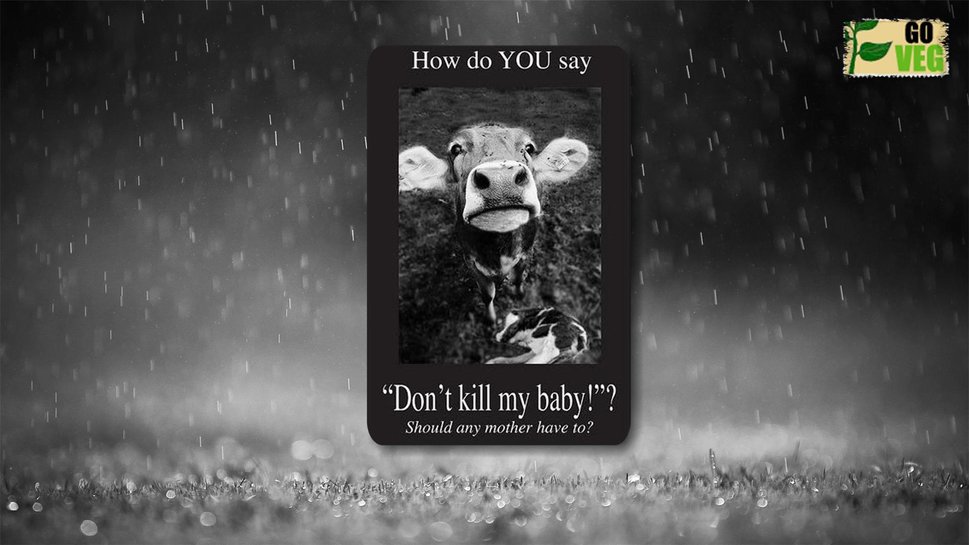 Free download How do You Wallpaper How do You Say Wallpaper [969x545