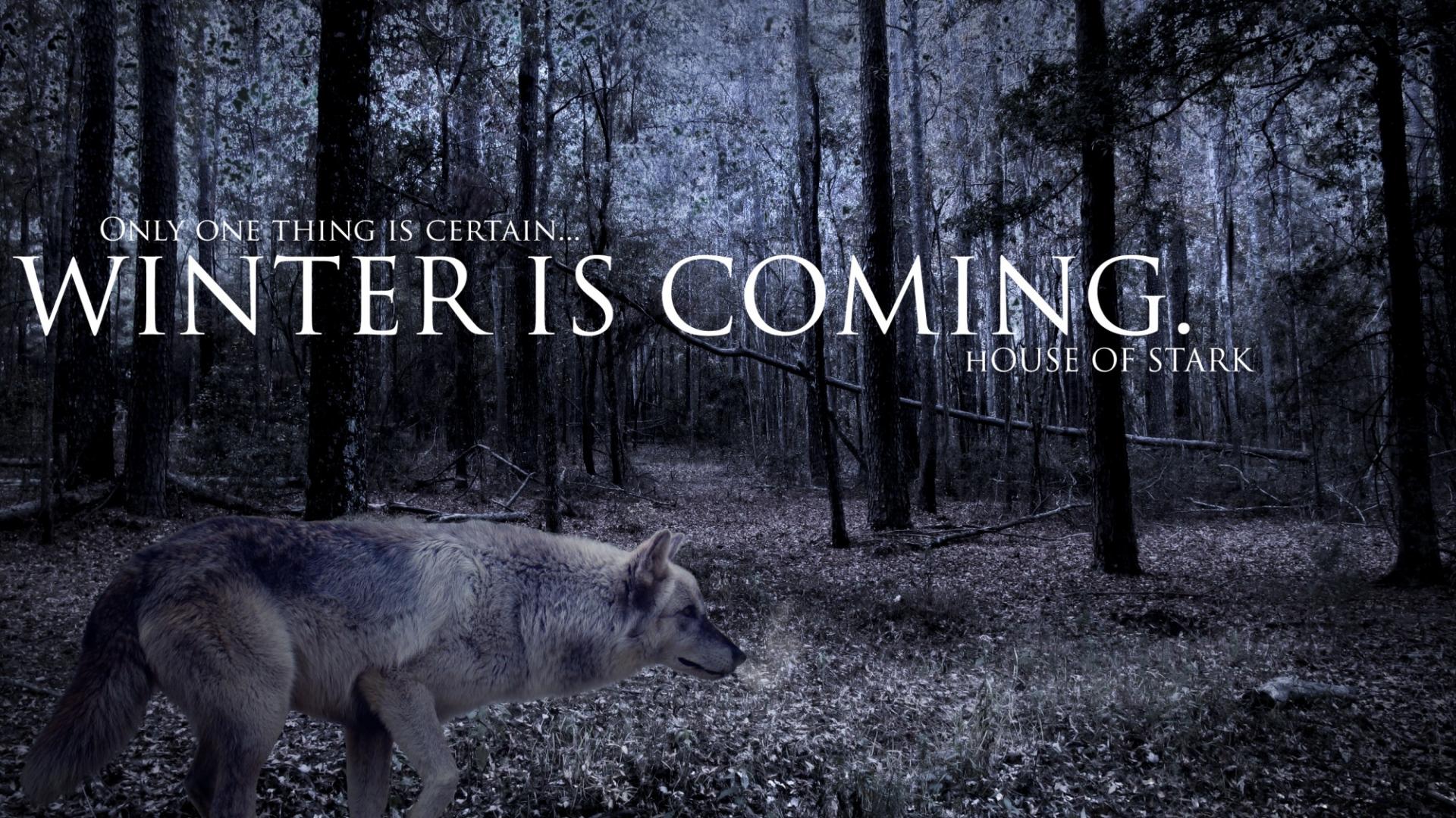 Strider Game Of Thrones Winter Is Ing Wolves Wallpaper