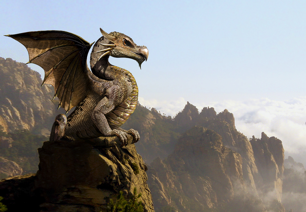 Dragons Image Little Dragon HD Wallpaper And Background Photos