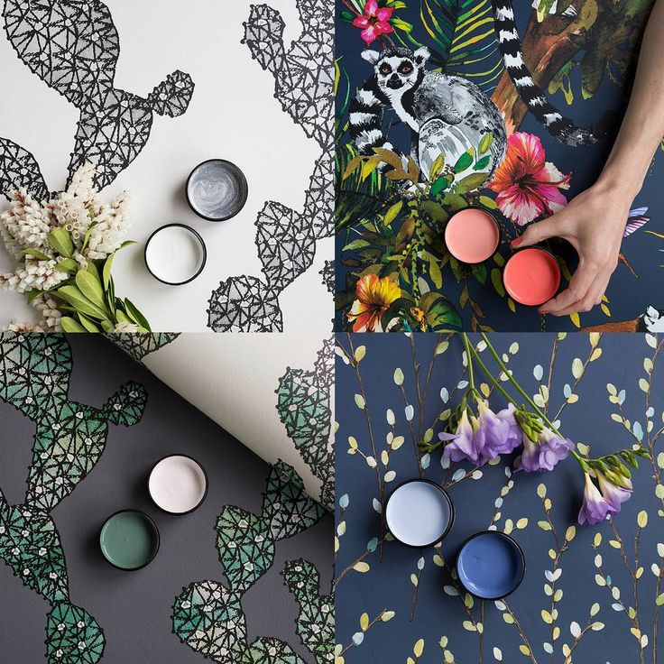 Which Wallpaper Would You Choose