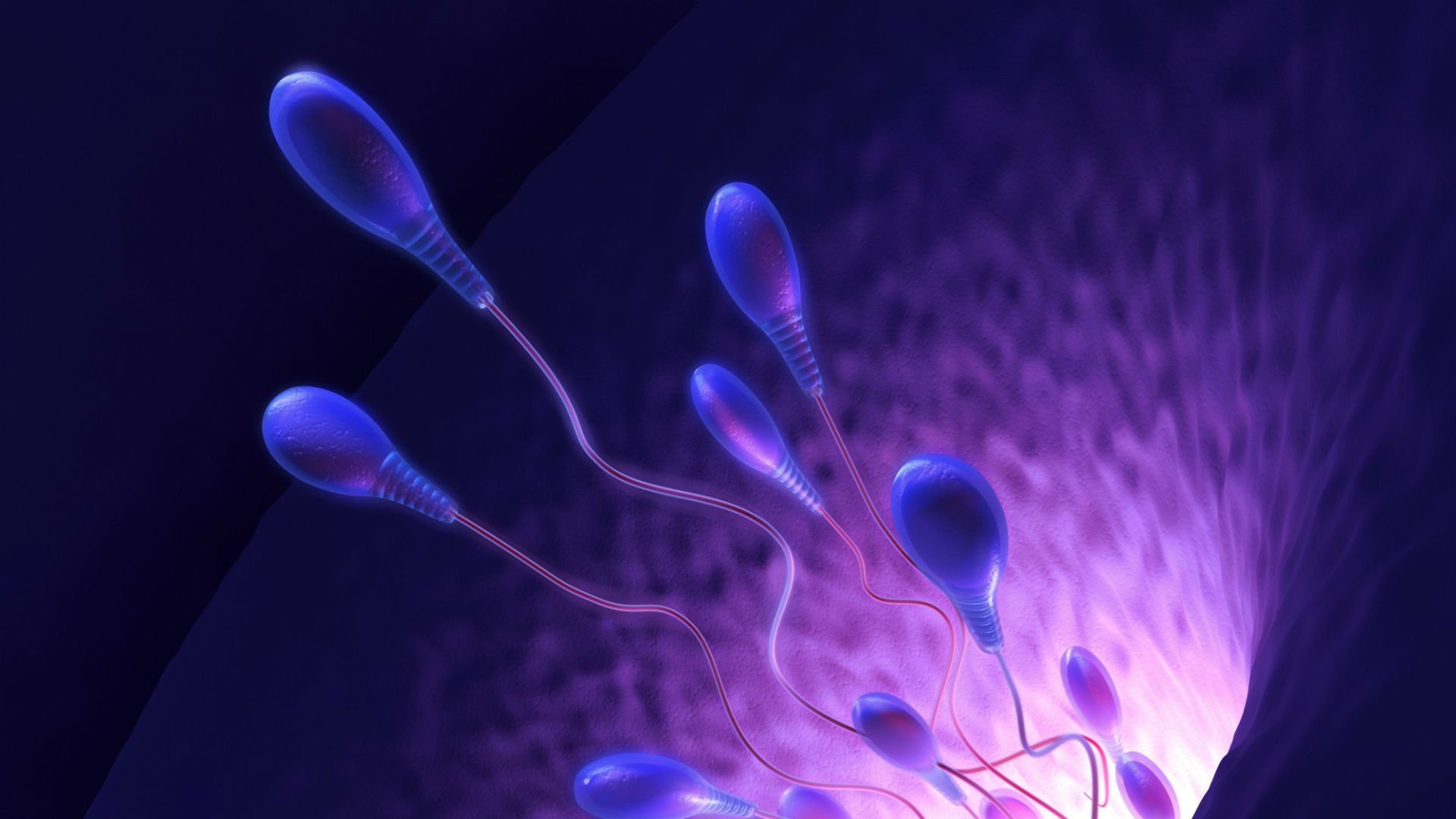 Free Download Sperm Abstraction Abstract Bokeh Life Sex Sexual Medical [1920x1080] For Your