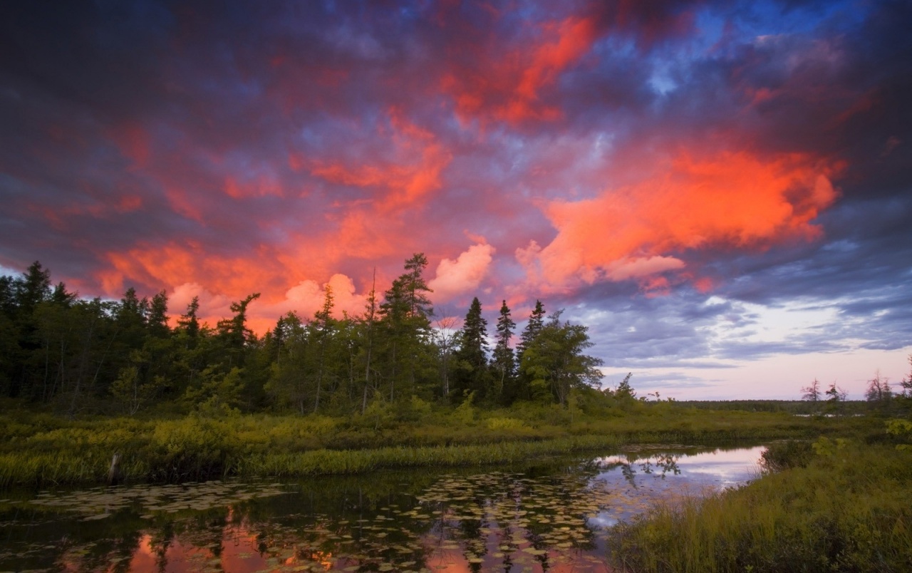 Rocky Lake Nova Scotia Sunset Wallpaper