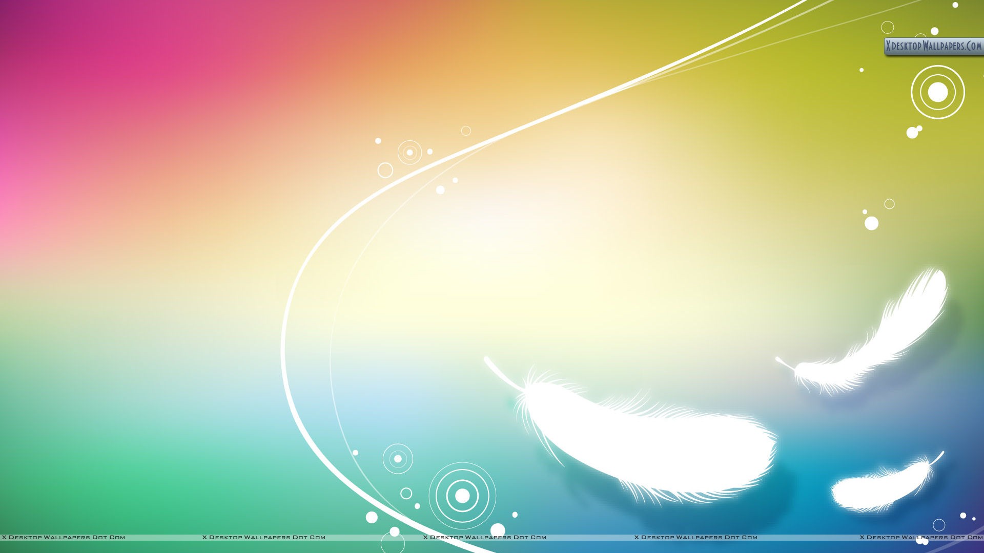 Rainbow Feather Abstract Background Wallpaper