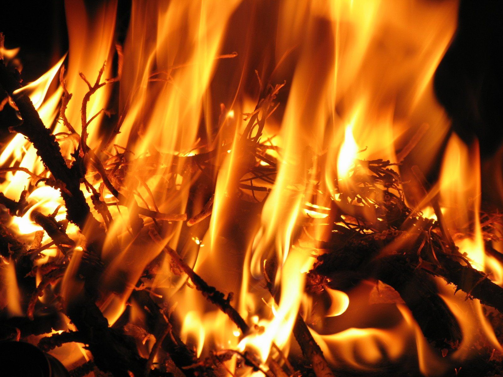 Fire Photo Wallpaper