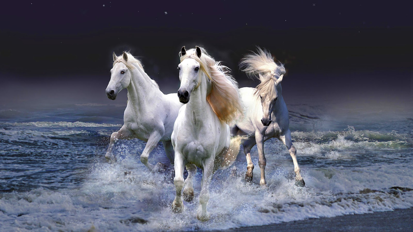Horses Running Through Water Or Sea Horse Wallpaper Background