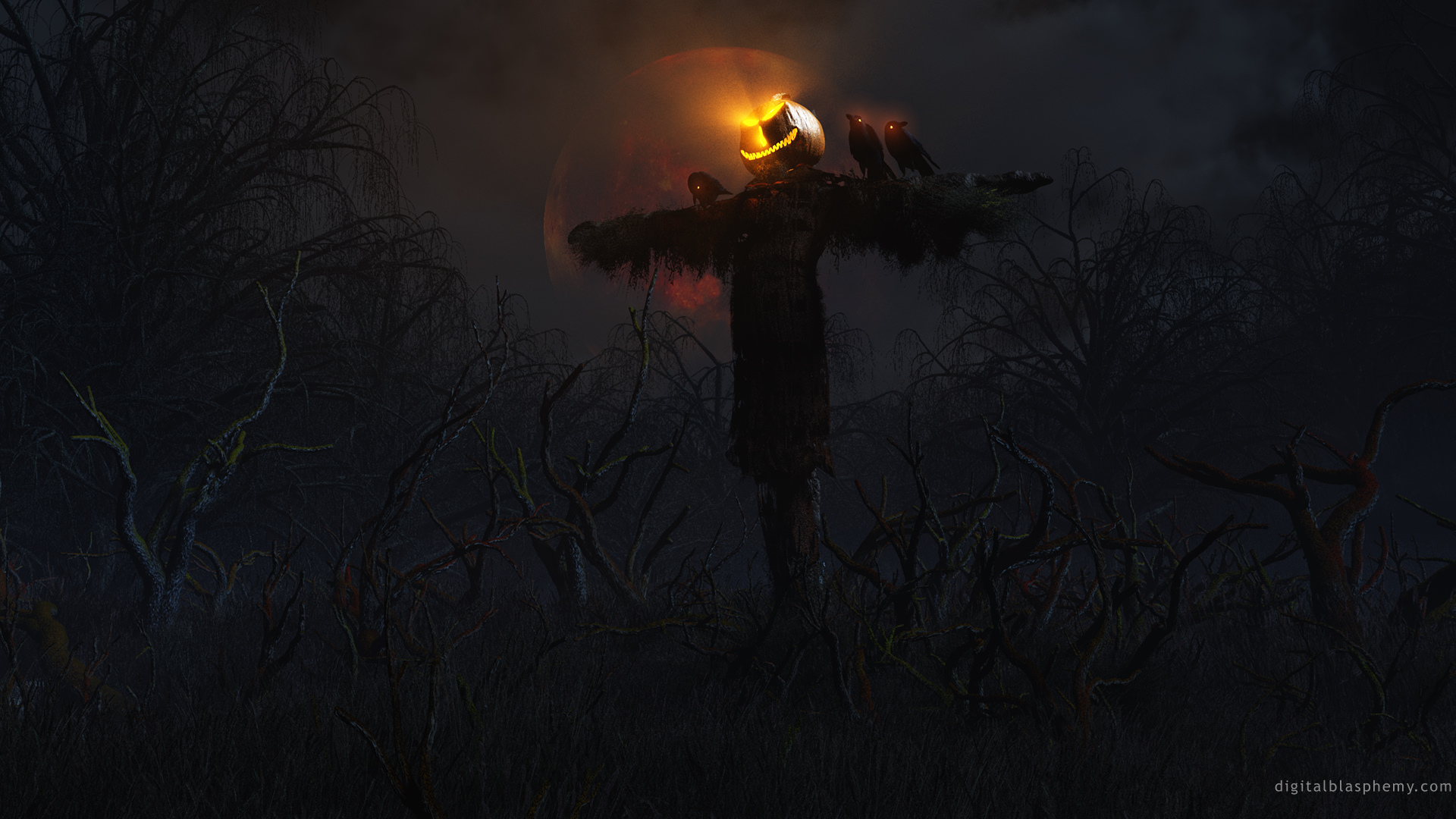 Halloween Scary Wallpaper Scarecrow