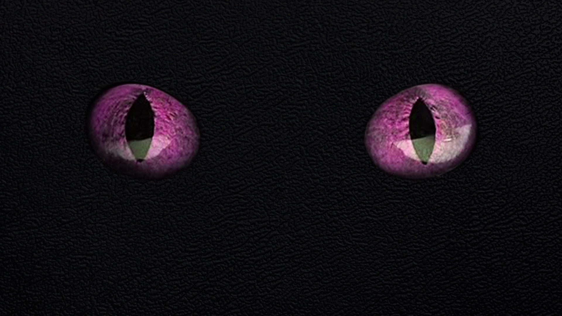 Best Ender Dragon Egg Wallpaper Lavender