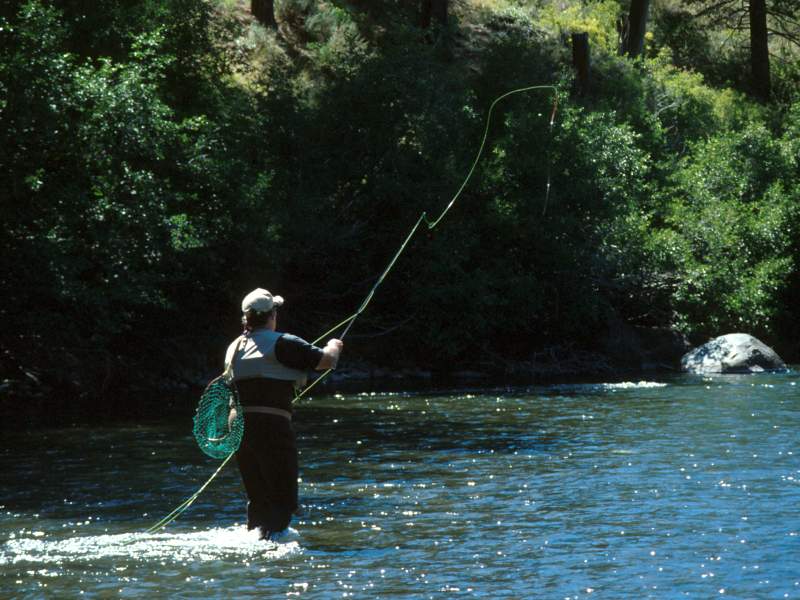 Index Of Wallpaper Field And Stream Fly Fishing