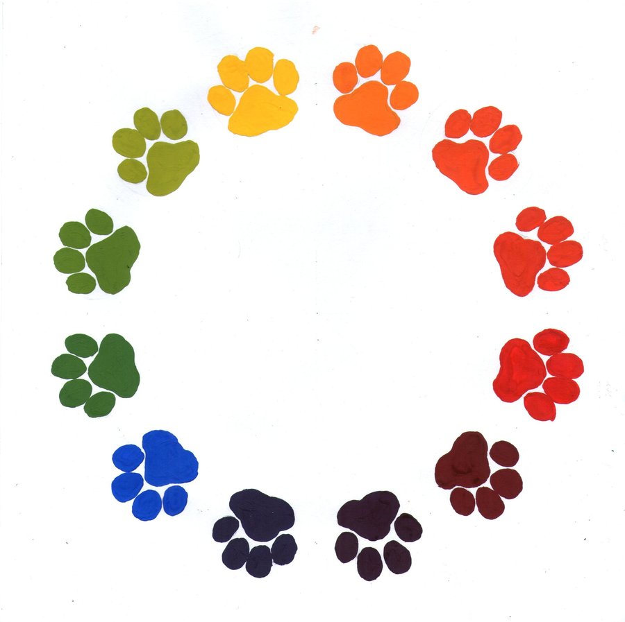 Colorful Paw Print Wallpaper Image Pictures Becuo
