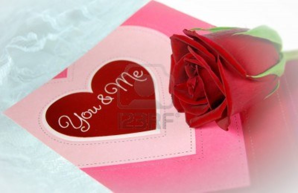 Valentine Single Rose Pictures Photos And HD Wallpaper Love