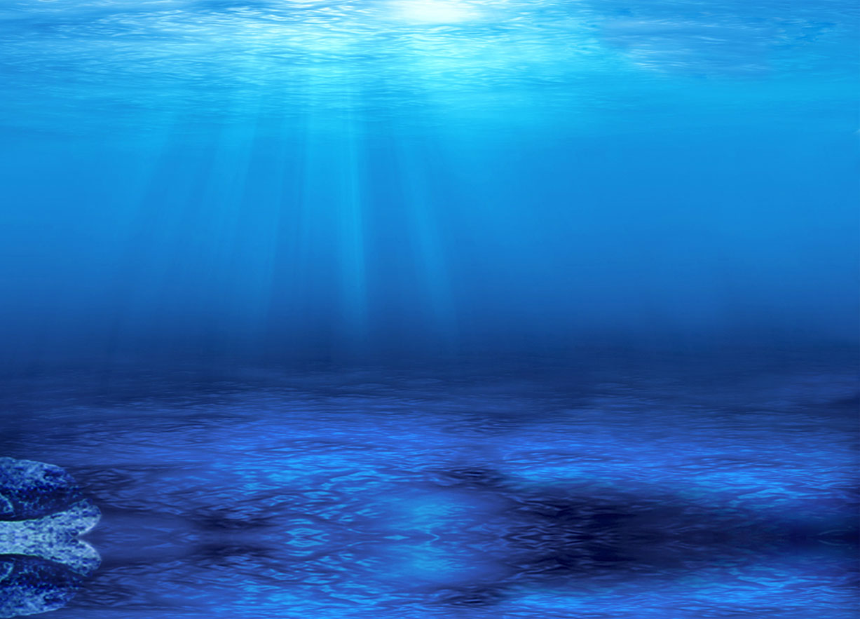 Hình nền dưới nước đầy mê hoặc với đủ sắc màu của vùng đại dương sâu thẳm. Bạn sẽ bị ngất ngây trước vẻ đẹp của những loài sinh vật đang bơi lội trong không gian màu xanh ngọc bích kỳ ảo này.