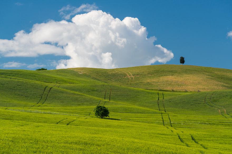 I Photographed Tuscany And It Looks Like The Classic Windows Xp
