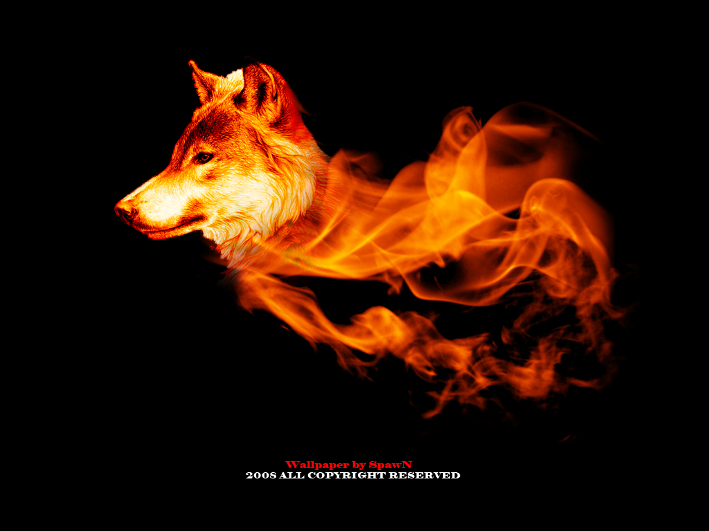 Fire Wolf Wallpaper Pic2fly Html