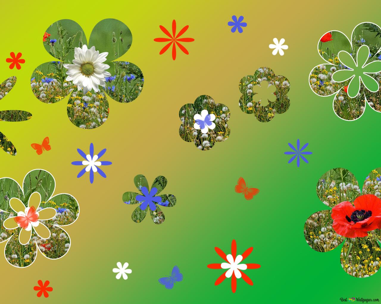 Flowers N Butterfly HD Wallpaper